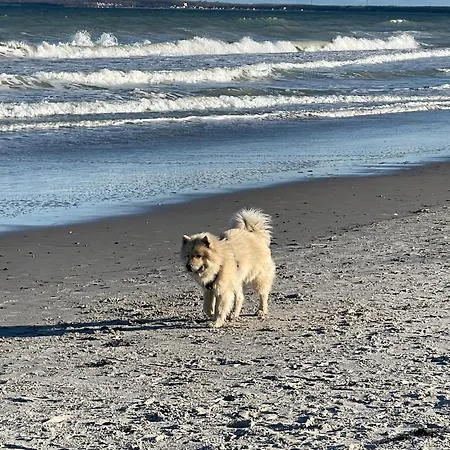 Holiday home Svante Glowe